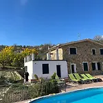 Le Mimose
