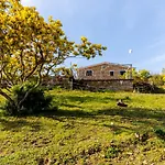 Le Mimose Farma Imperia