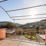 Le Mimose