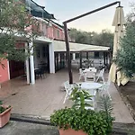 Le Mimose