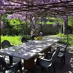 Le Mimose Farma