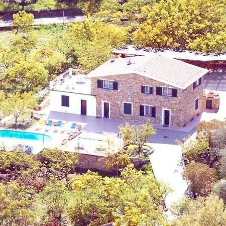 Le Mimose Imperia