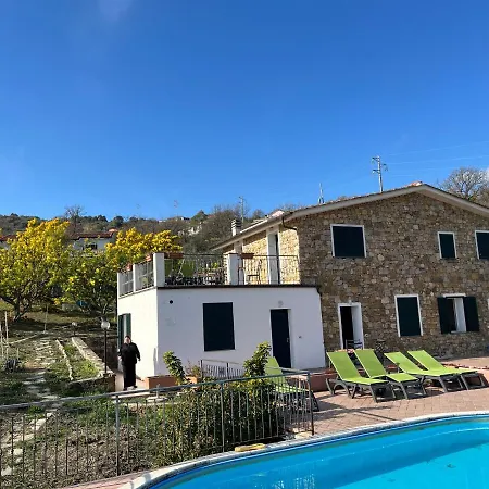 Le Mimose