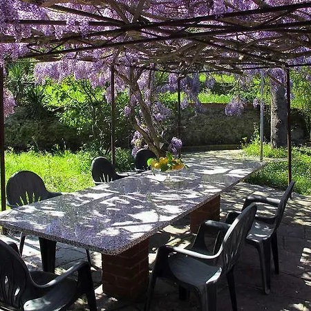 Le Mimose Farm stay