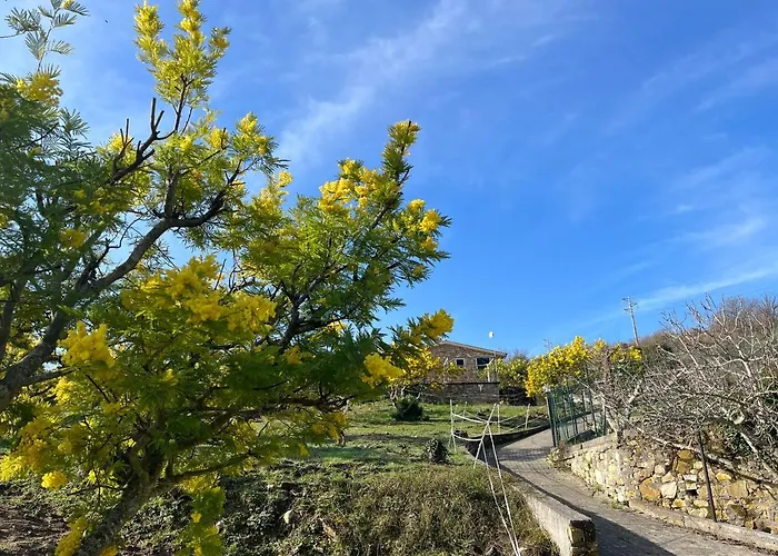 בית חווה Le Mimose *