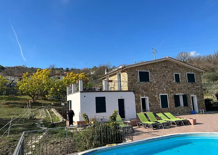 Le Mimose