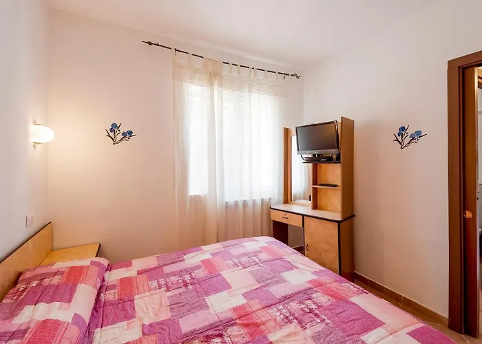 Farm stay Le Mimose *